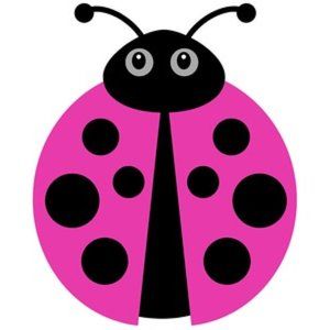 Meet your Posher, Lil' bug